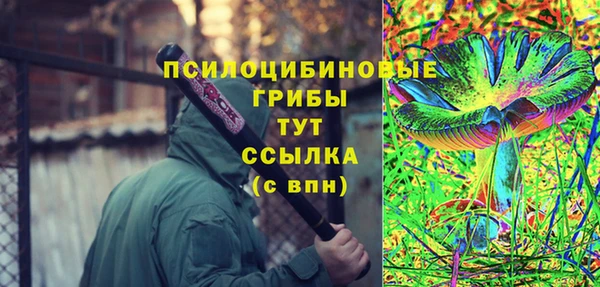 марки lsd Белокуриха